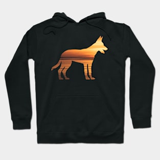 Belgian Malinois Sunset Hoodie